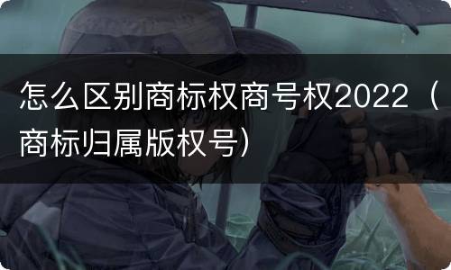 怎么区别商标权商号权2022（商标归属版权号）
