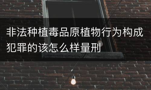 非法种植毒品原植物行为构成犯罪的该怎么样量刑