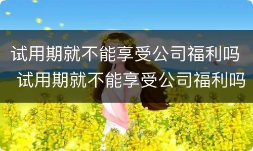 试用期就不能享受公司福利吗 试用期就不能享受公司福利吗为什么