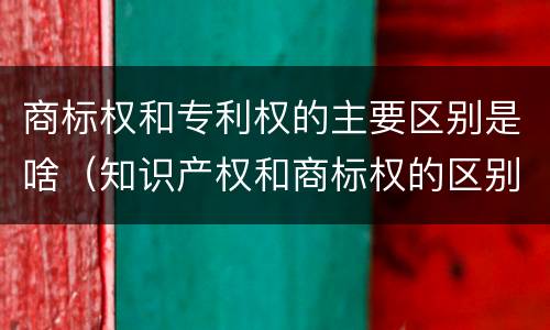 商标权和专利权的主要区别是啥（知识产权和商标权的区别）