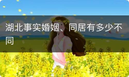 湖北事实婚姻、同居有多少不同