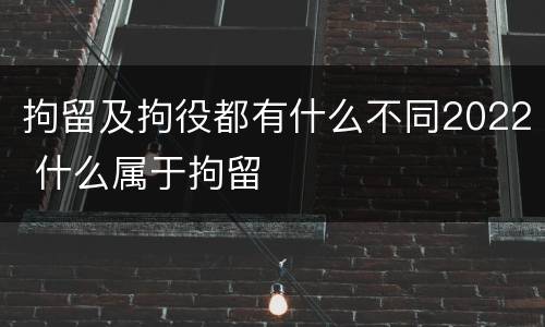 拘留及拘役都有什么不同2022 什么属于拘留