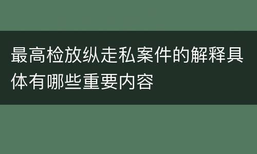 最高检放纵走私案件的解释具体有哪些重要内容