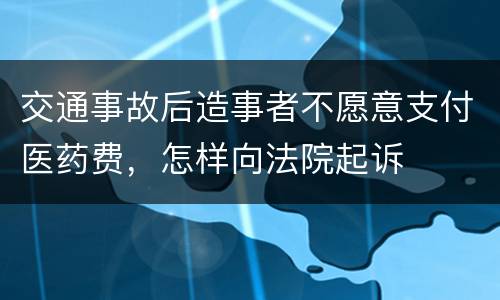 交通事故后造事者不愿意支付医药费，怎样向法院起诉