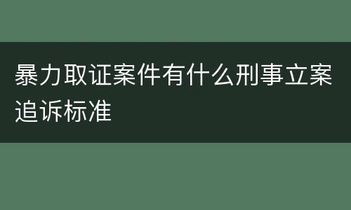 暴力取证案件有什么刑事立案追诉标准
