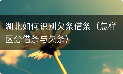 湖北如何识别欠条借条（怎样区分借条与欠条）