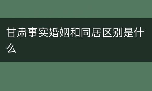 甘肃事实婚姻和同居区别是什么