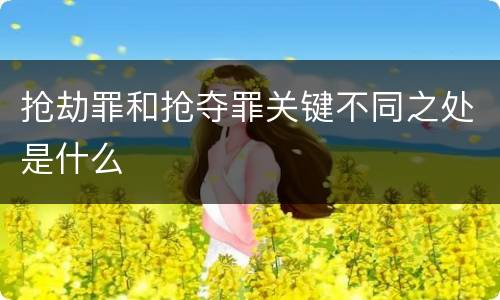 抢劫罪和抢夺罪关键不同之处是什么