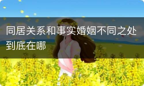 同居关系和事实婚姻不同之处到底在哪