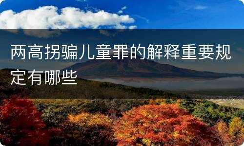两高拐骗儿童罪的解释重要规定有哪些