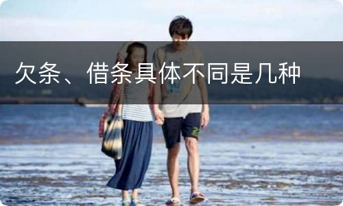 欠条、借条具体不同是几种