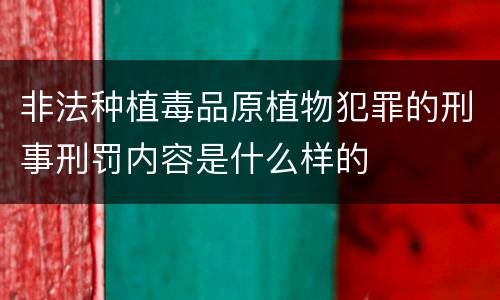 非法种植毒品原植物犯罪的刑事刑罚内容是什么样的
