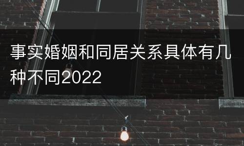 事实婚姻和同居关系具体有几种不同2022