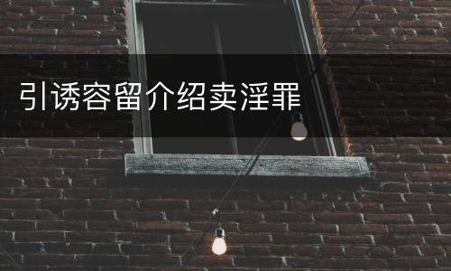 引诱容留介绍卖淫罪