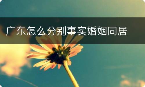 广东怎么分别事实婚姻同居
