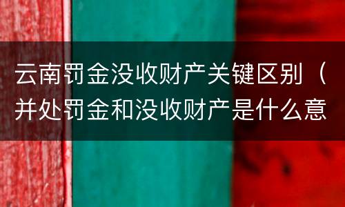 云南罚金没收财产关键区别（并处罚金和没收财产是什么意思）