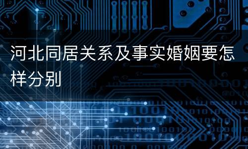 河北同居关系及事实婚姻要怎样分别