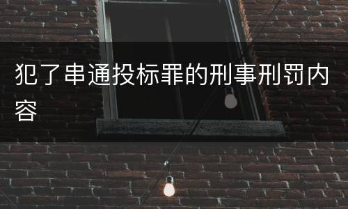 犯了串通投标罪的刑事刑罚内容