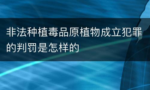 非法种植毒品原植物成立犯罪的判罚是怎样的