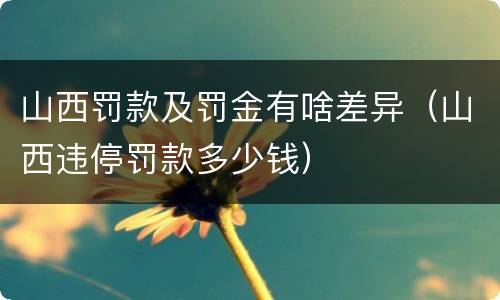 山西罚款及罚金有啥差异（山西违停罚款多少钱）
