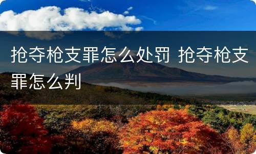 抢夺枪支罪怎么处罚 抢夺枪支罪怎么判