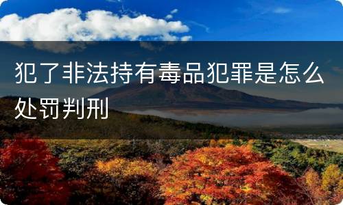 犯了非法持有毒品犯罪是怎么处罚判刑