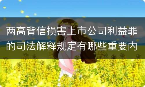 两高背信损害上市公司利益罪的司法解释规定有哪些重要内容