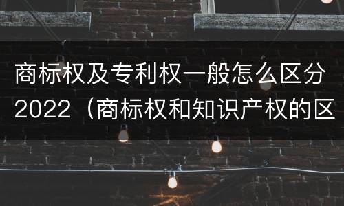 商标权及专利权一般怎么区分2022（商标权和知识产权的区别）