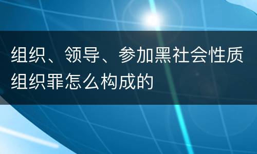 组织、领导、参加黑社会性质组织罪怎么构成的