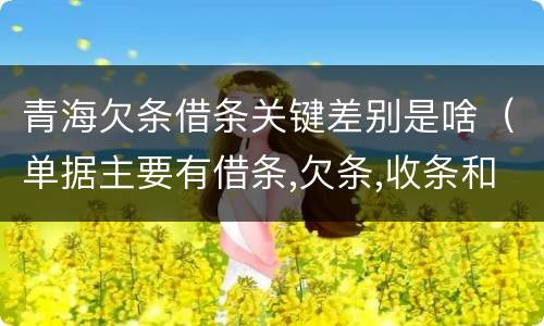 青海欠条借条关键差别是啥（单据主要有借条,欠条,收条和什么）