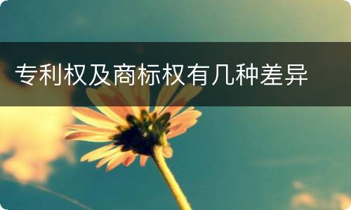 专利权及商标权有几种差异