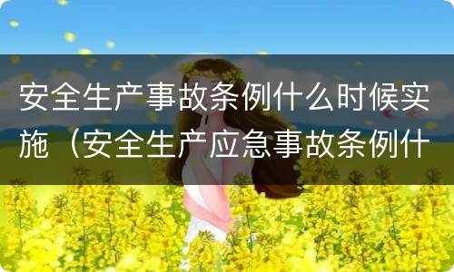 安全生产事故条例什么时候实施（安全生产应急事故条例什么时候实施）