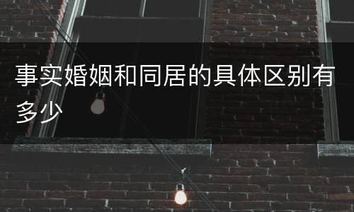 事实婚姻和同居的具体区别有多少