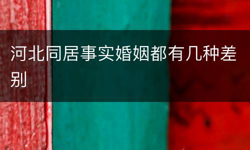 河北同居事实婚姻都有几种差别