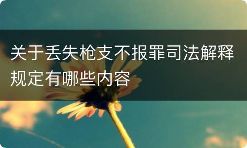 关于丢失枪支不报罪司法解释规定有哪些内容