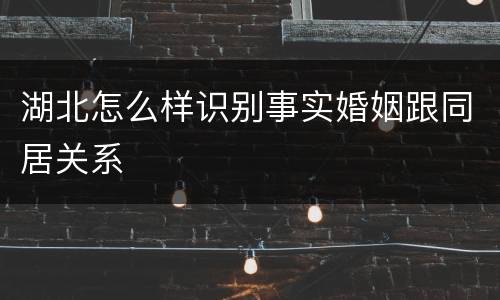 湖北怎么样识别事实婚姻跟同居关系