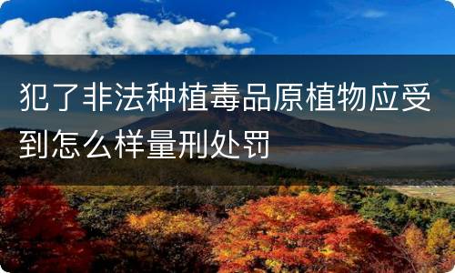 犯了非法种植毒品原植物应受到怎么样量刑处罚