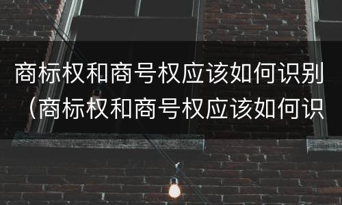 商标权和商号权应该如何识别（商标权和商号权应该如何识别出来）