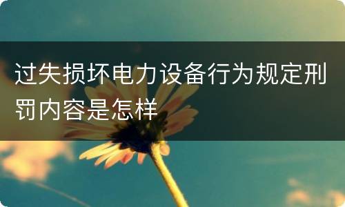 过失损坏电力设备行为规定刑罚内容是怎样