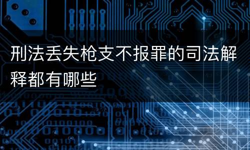 刑法丢失枪支不报罪的司法解释都有哪些