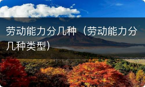 劳动能力分几种（劳动能力分几种类型）
