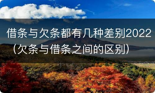 借条与欠条都有几种差别2022（欠条与借条之间的区别）