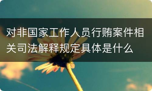 对非国家工作人员行贿案件相关司法解释规定具体是什么