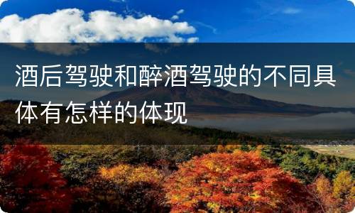 酒后驾驶和醉酒驾驶的不同具体有怎样的体现