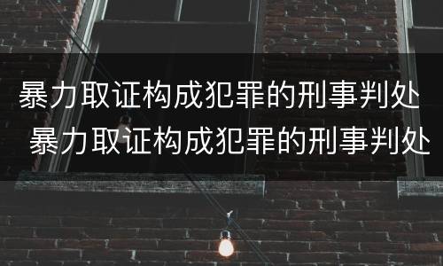 暴力取证构成犯罪的刑事判处 暴力取证构成犯罪的刑事判处几年