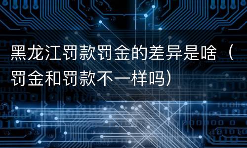 黑龙江罚款罚金的差异是啥（罚金和罚款不一样吗）