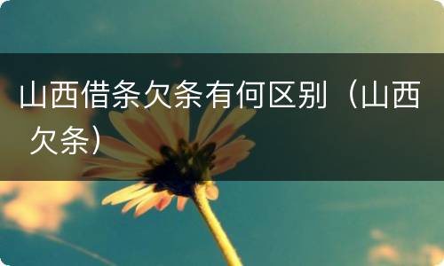 山西借条欠条有何区别（山西 欠条）