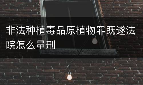 非法种植毒品原植物罪既遂法院怎么量刑