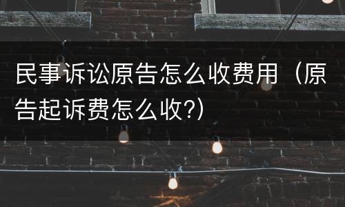 民事诉讼原告怎么收费用（原告起诉费怎么收?）