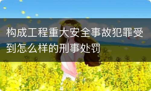 构成工程重大安全事故犯罪受到怎么样的刑事处罚